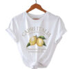 Camisa Basic
